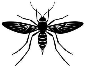 Mosquito vector silhouette illustration isolated on white background