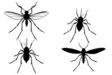 set of Mosquito vector silhouette illustration isolated on white background