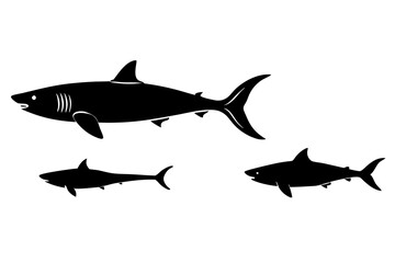 set of Big Shark vector silhouette illustration isolated on white background