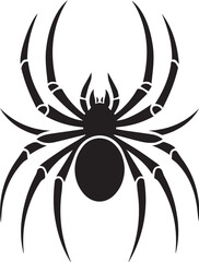 Spider vector illustration
