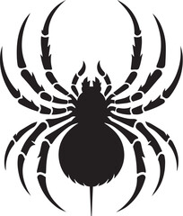 Spider vector illustration
