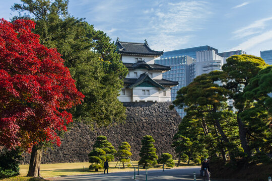 castillo japones junto a edificios modernos en un dia de oto&ntilde;o