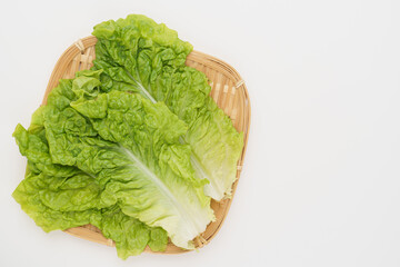 サンチュ・包菜(つつみな)