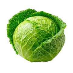 Obraz premium Fresh green savoy cabbage isolated on white background, whole raw organic cabbage head, textured leafy vegetable for healthy cooking