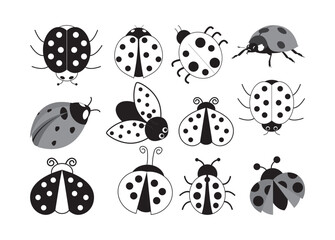 Ladybug vector, Ladybug clipart, Ladybug silhouette