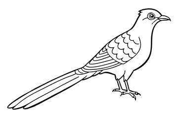 Fototapeta premium a cuckoo bird silhouette vector illustration white background