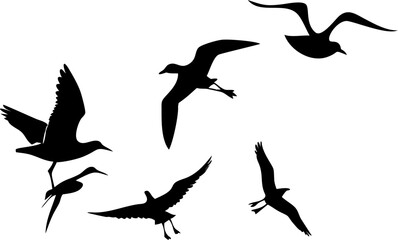 set of silhouettes of seagulls