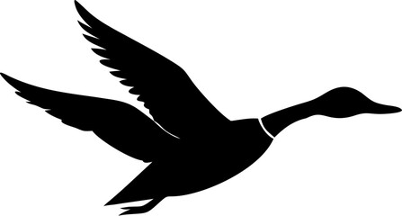 Fototapeta premium silhouette of a pigeon