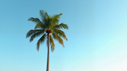 Obraz premium The image shows a tall palm tree standing in the middle of a field