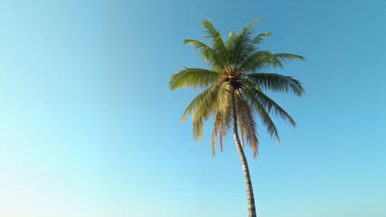 Obraz premium The image shows a tall palm tree standing in the middle of a field