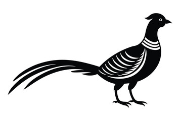 Fototapeta premium golden pheasant silhouette vector art on a whit background
