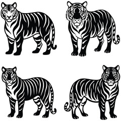 Obraz premium Tiger Vector Silhouetted Bundle Set Collection