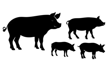 set of Pig vector silhouette illustration isolated on white background