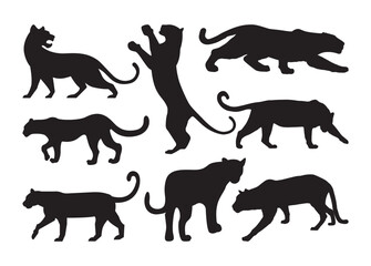 Panther vector, Panther clipart, Panther silhouette