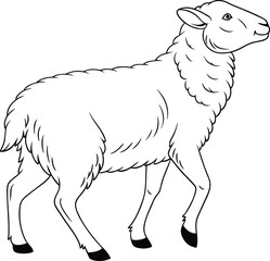 vector illustration of a sheep