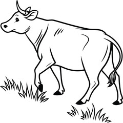 black and white illustration of a caw