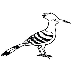 Obraz premium vector illustration of a hoopoe bird vector silhouette