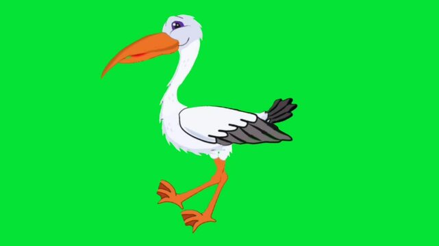 stork talking walking green screen video