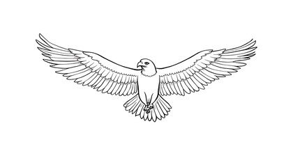 Obraz premium vector illustration of a bird