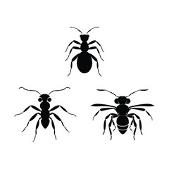 Ant silhouette set clipart on a white background