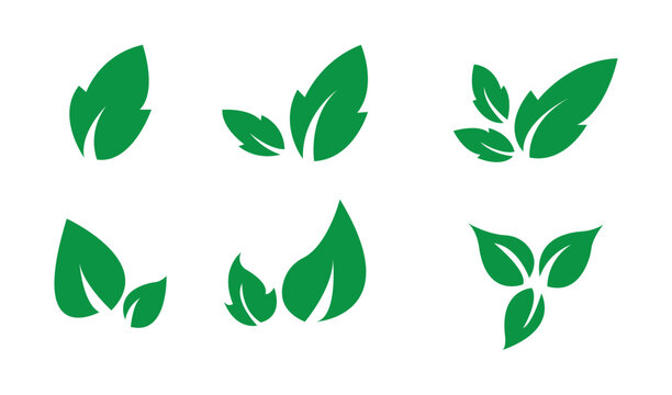 Leaves vector icon set, leaf herb green simple graphic pictogram illustration isolated cut out image, small branch shape silhouette as eco or organic element symbol clip art label 