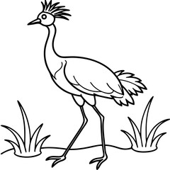 vector illustration of a bird
