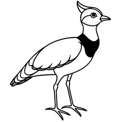 vector illustration of a bird