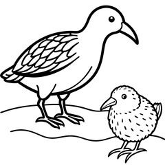 vector illustration of birds