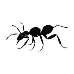 Ant minimalist silhouette design