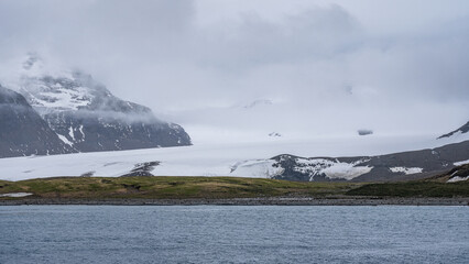 Photographing Salisbury Plain, South Georgia