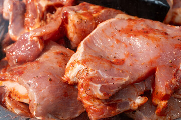 Pieces of fresh pork in marinade