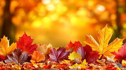 Fototapeta premium Autumn Leaves: A vibrant tapestry of autumn leaves in rich shades of red, orange, and yellow cascade across the frame, evoking the cozy essence of the fall season.