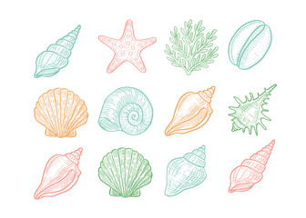 Colorful vector set of hand drawn seashells, starfish, coral and marine elements. Nautical collection in pastel colors for summer design, beach decor, and sea-themed illustrations. 