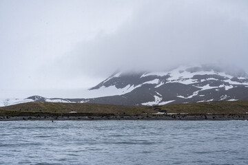 Photographing Salisbury Plain, South Georgia
