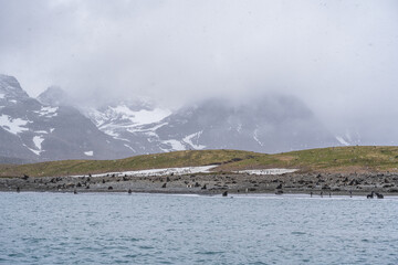 Photographing Salisbury Plain, South Georgia