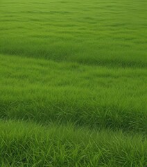 Obraz premium Bright, lush green grass edge, endlessly repeating Perfect for website backgrounds , website, environment, nature
