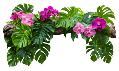 Tropical ivy gree plant bush floral arrangement with rainforest gren leaves Monstera and fern and Vanda orchids tropical flower decor on tree branch liana vine plant isolated on white background.

