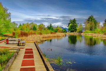 Spring landscape in Terra Nova Park, forest lake with wooden bridge over stream, green trees and bushes around lake, yellow grass, wooden walkway and bench on shore