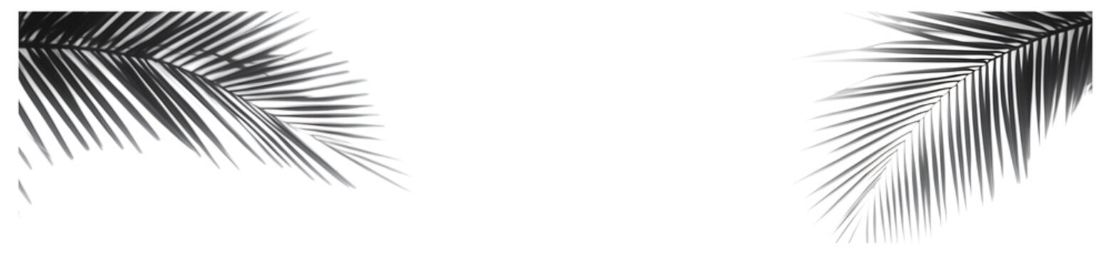 A shadow overlay mockup with blurred plam leaf-like shadows on a neutral background, ideal for creating atmospheric, nature-inspired designs