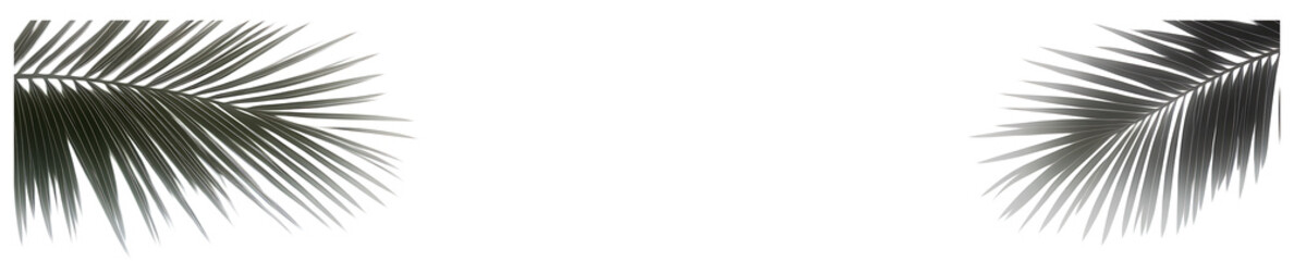 Obraz premium A shadow overlay mockup with blurred plam leaf-like shadows on a neutral background, ideal for creating atmospheric, nature-inspired designs