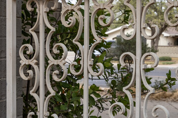 Wrought Iron Gate