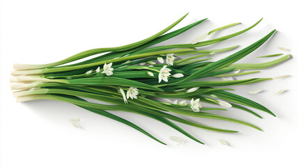 Fototapeta premium Fresh green spring onions with delicate white flowers on white background