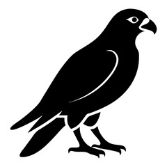 vector illustration of a bird