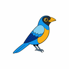 cartoon paradise tanager vector on white background