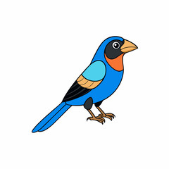 cartoon paradise tanager vector on white background