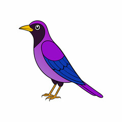 cartoon violet backed starling vector on white background