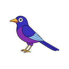 cartoon violet backed starling vector on white background
