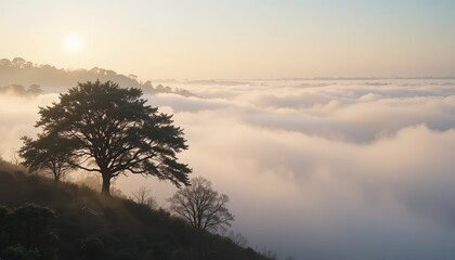Fototapeta premium Serene sunrise over misty valley tranquil nature landscape morning fog peaceful environment aerial view reflective concept