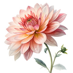Watercolor Digital on isolated transparent background