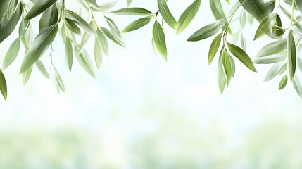 Fototapeta premium Fresh green leaves frame soft light